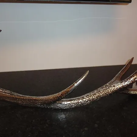 Farina Apartment Kaprun