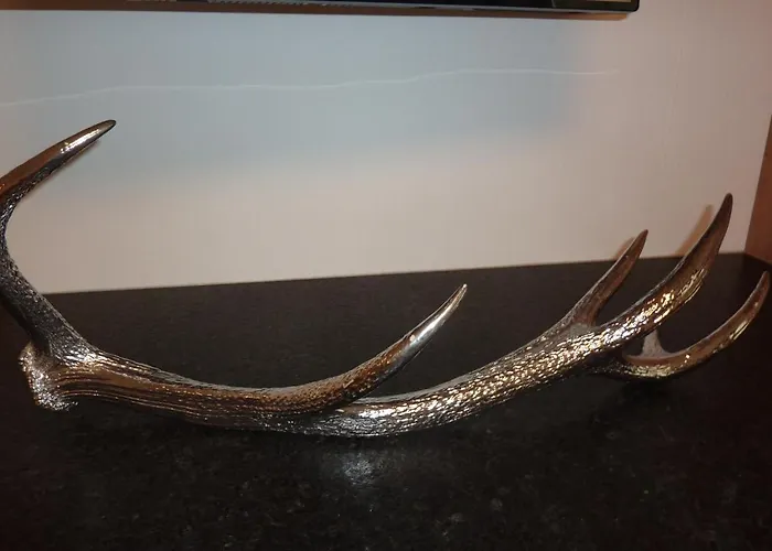 فارينا شقة كابرون